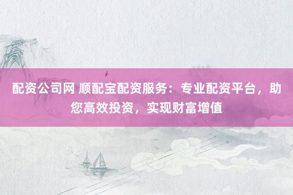 配资公司网 顺配宝配资服务：专业配资平台，助您高效投资，实现财富增值